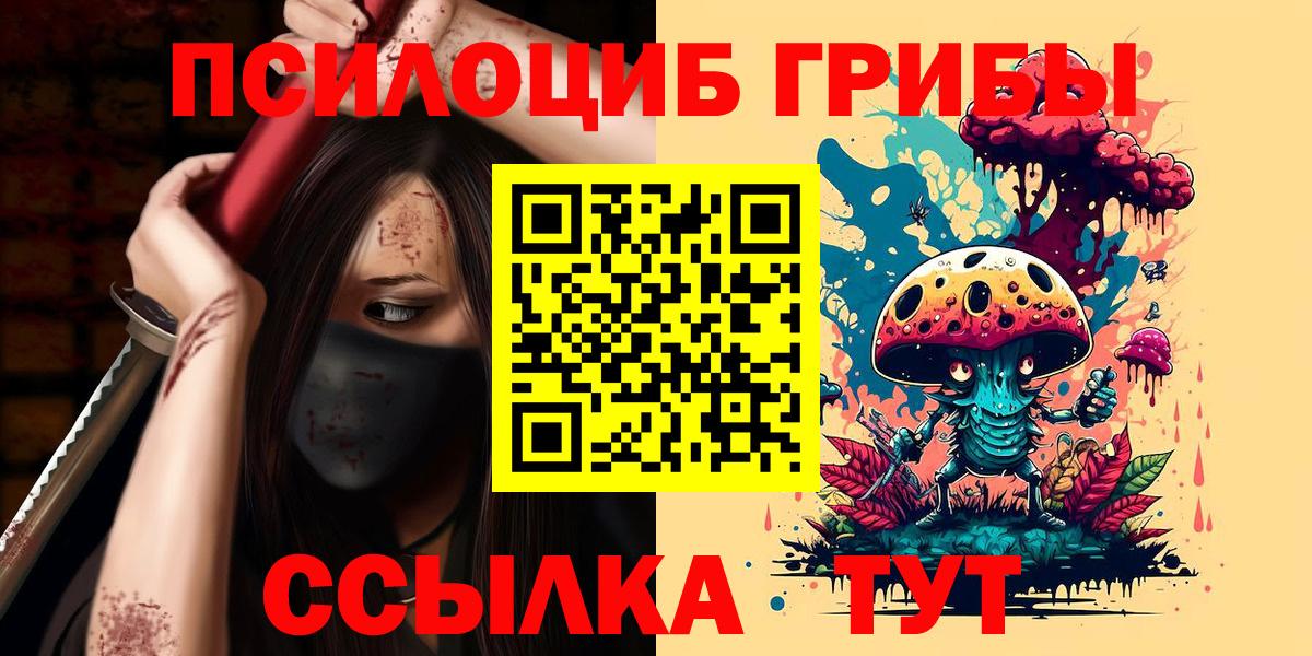 Псилоцибиновые грибы MAGIC MUSHROOMS  Вход с VPN  Черногорск 